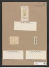Navicula ovalis (elliptica) W.Sm./Ktz. (de-Toni-Nr.: Genus 1, Species 298) Zeichnungen Sammlung Grunow Nr. 699 (NHMW-BOT-W0367076)